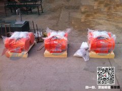 振動(dòng)電機(jī)廠家教您怎樣才能提高振動(dòng)電機(jī)的使用壽命？