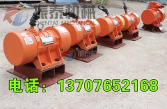 義馬振動電機(jī)MV 20-2型7臺發(fā)貨通知
